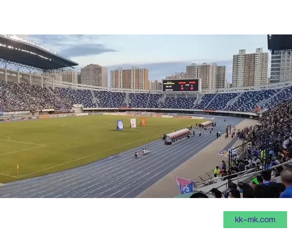 丹东腾跃因未通过足协新赛季准入审核正式宣告解散